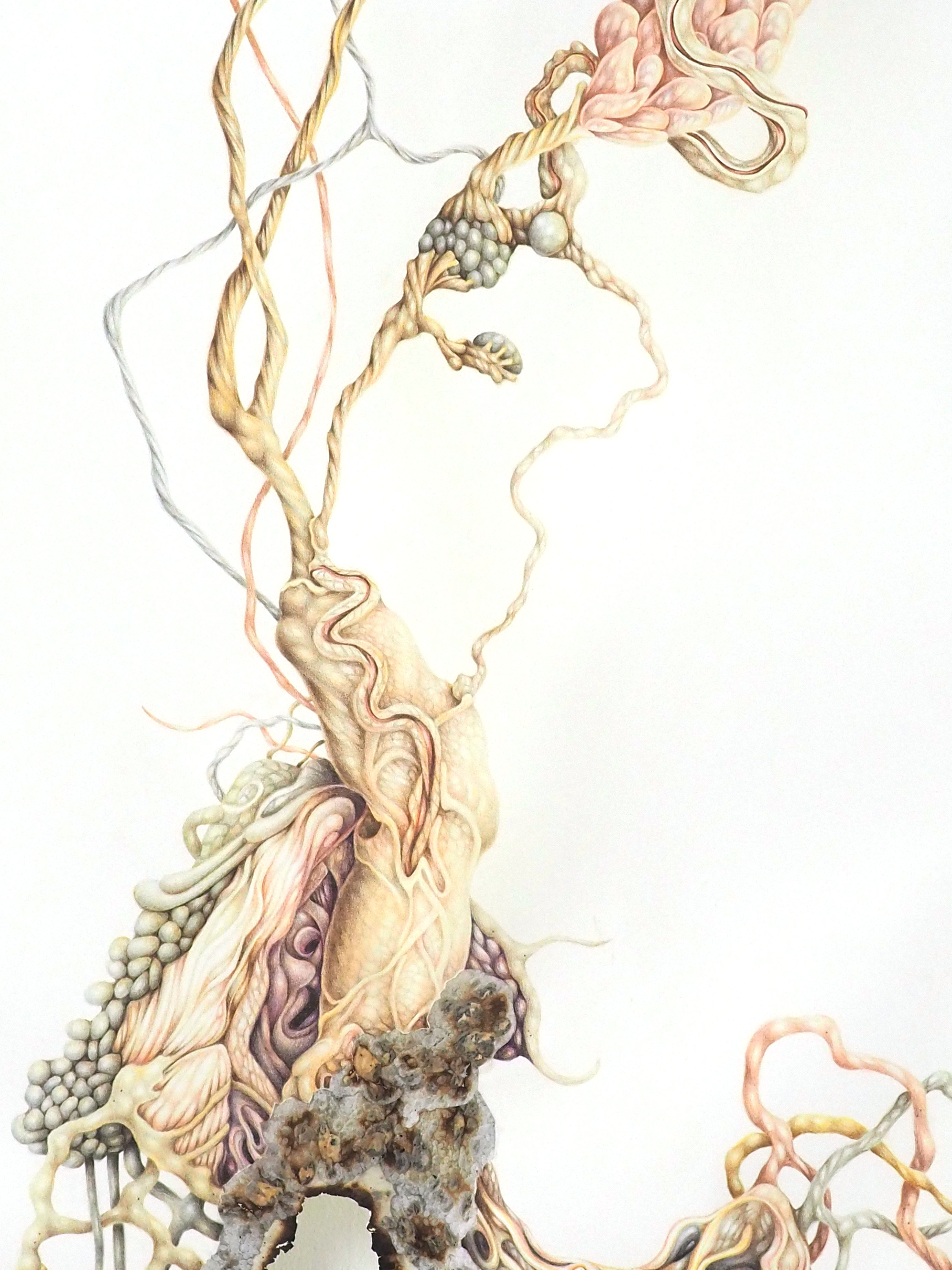 dessin