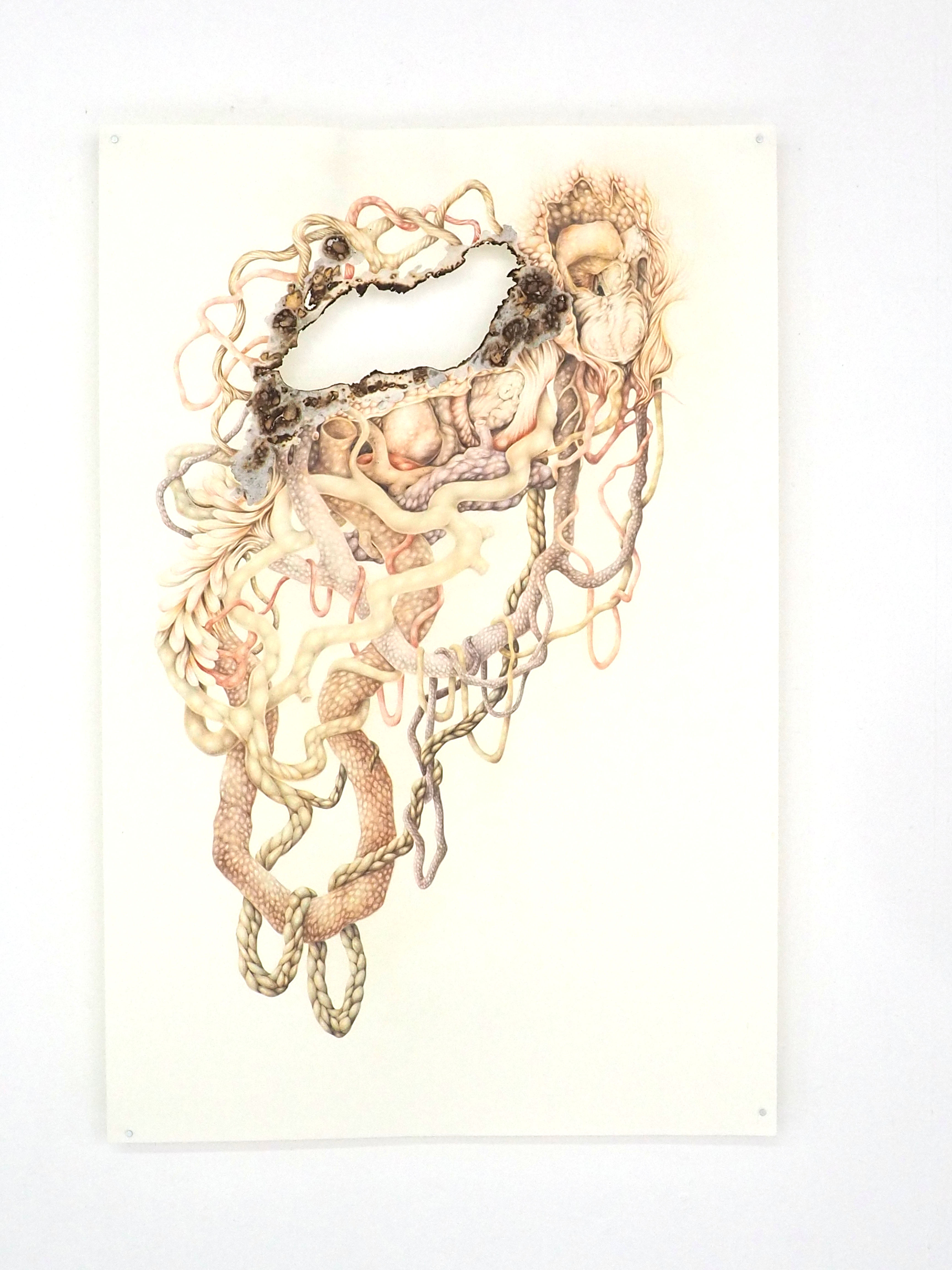 dessin